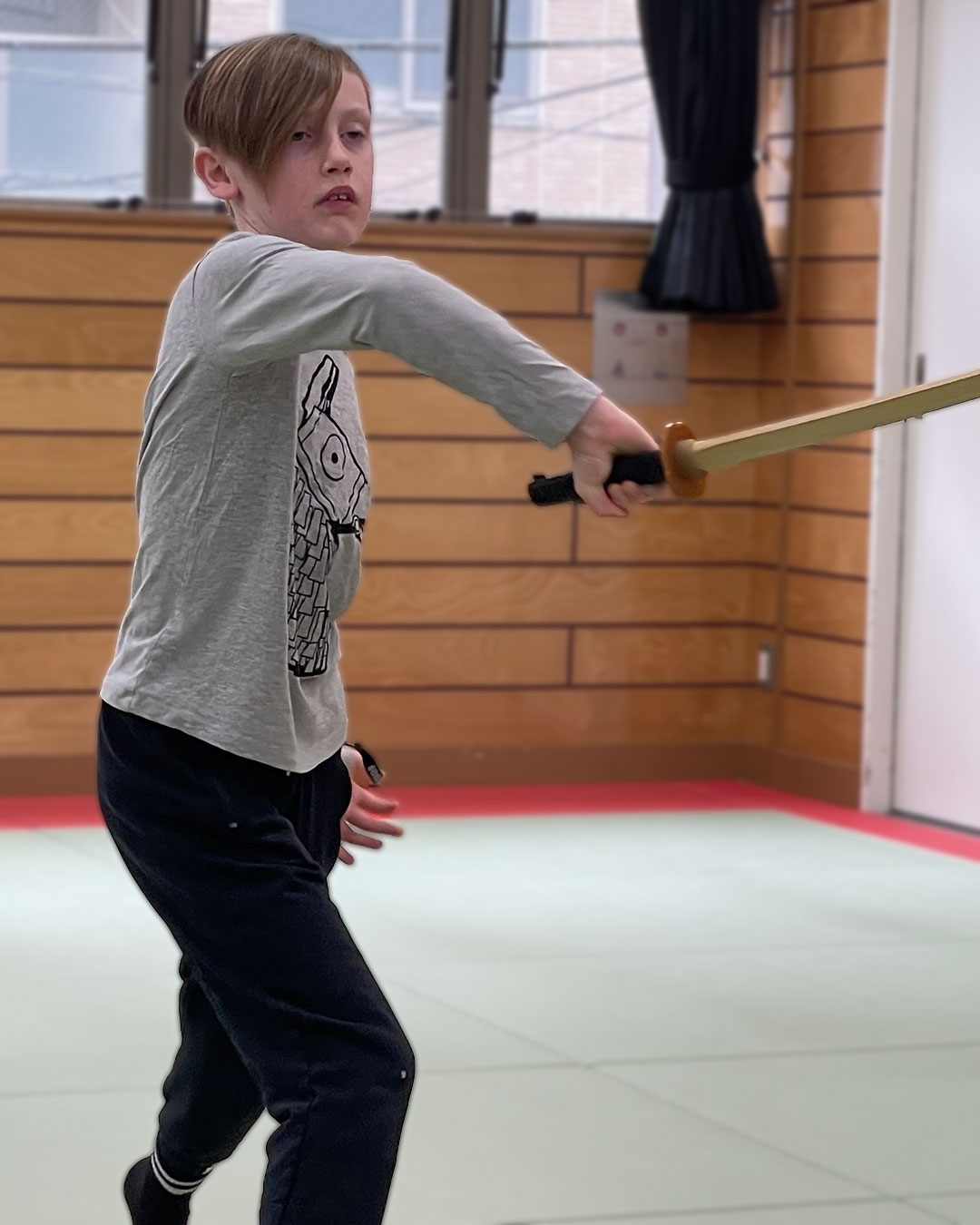 Taekwondo Martial arts Ninja Sweden