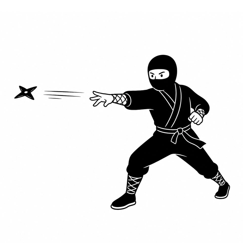 Ninja Experience