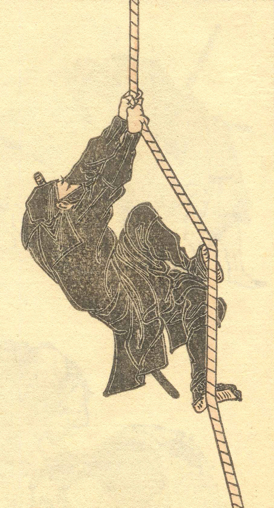Iga Ninja