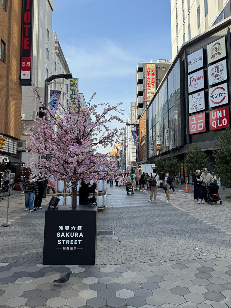 Asakusa “Sakura Street”
